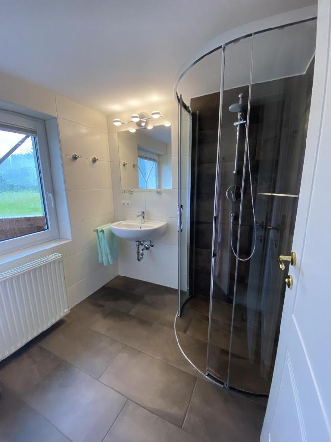 Haus Meneweger Apartment Flachau Bagian luar foto